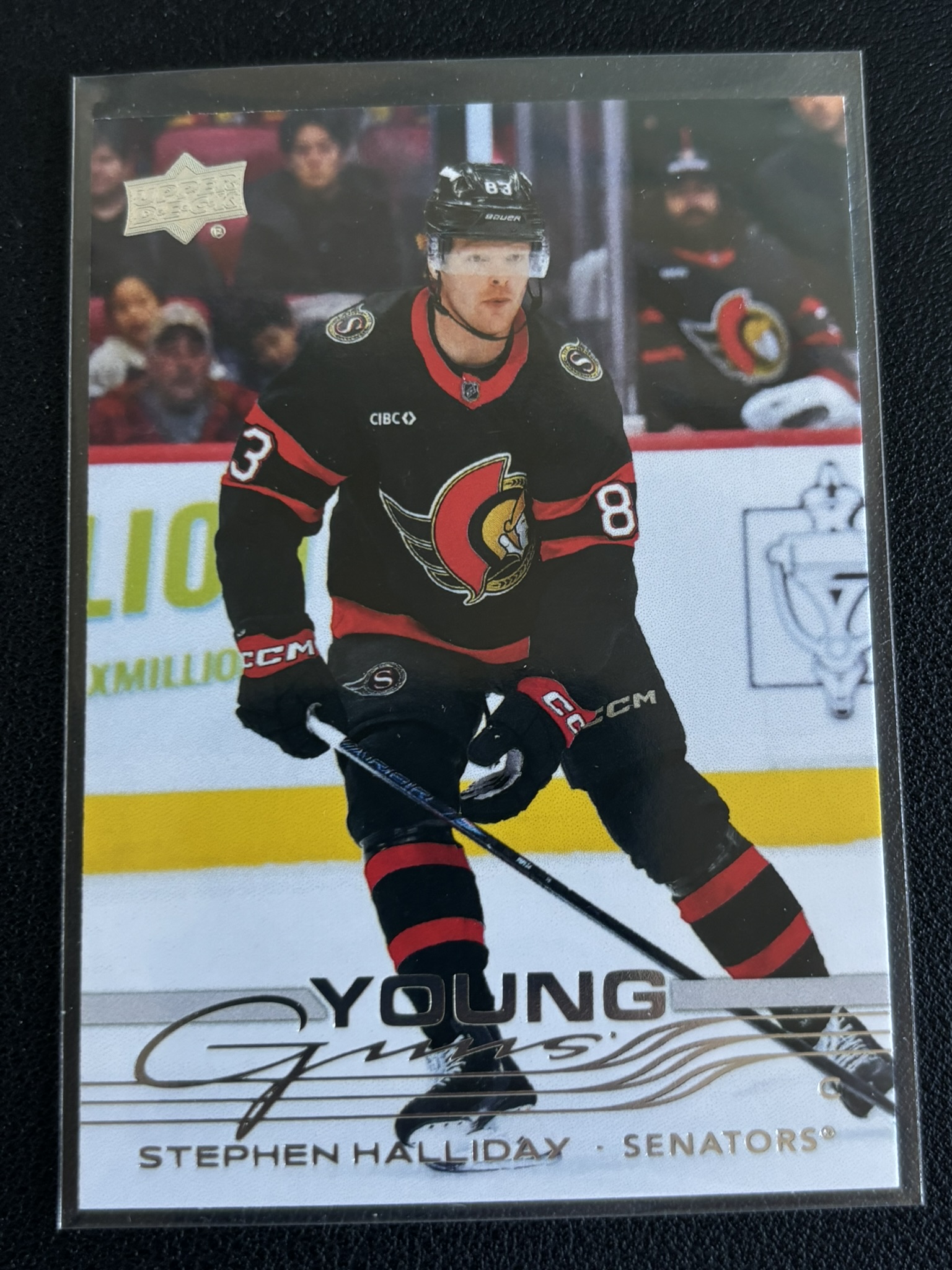2025-26 Upper Deck Extended Series — Stephen Halliday · Young Guns · #737